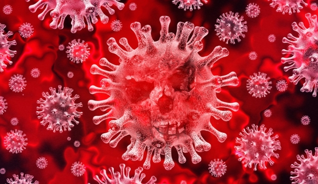 Qual a relação entre saúde bucal e coronavírus? Entenda